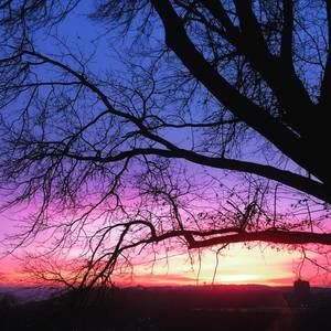 Meet your Posher, Kelli